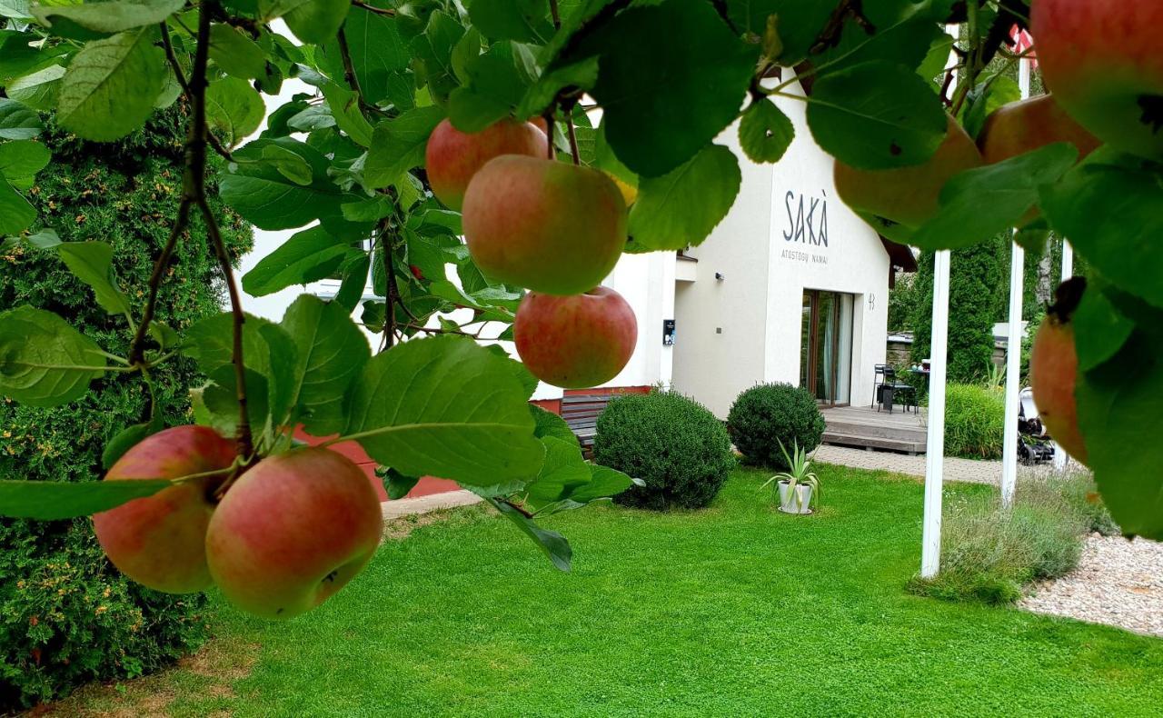 Saka Vacation House Druskininkai Exterior foto